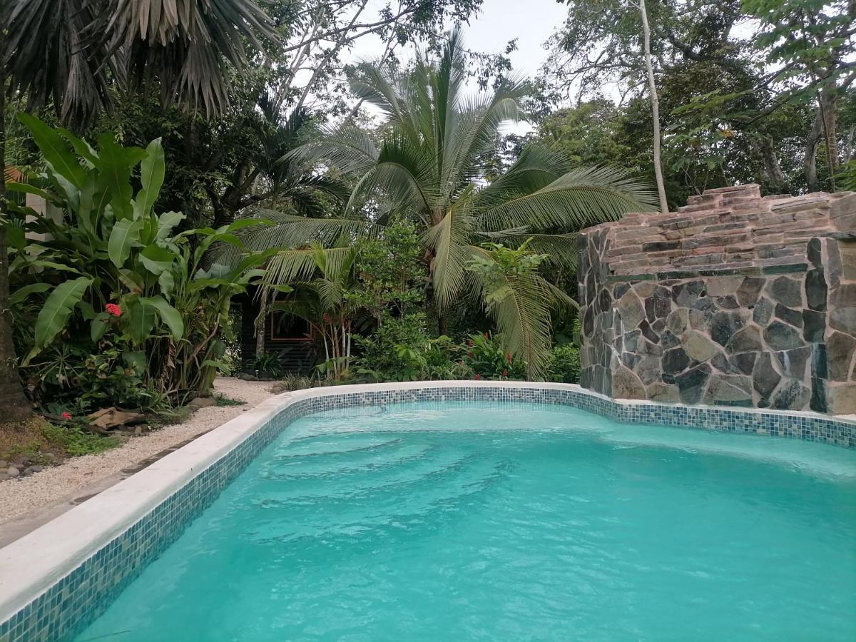 Casa El Colibri Panzió Parrita Kültér fotó