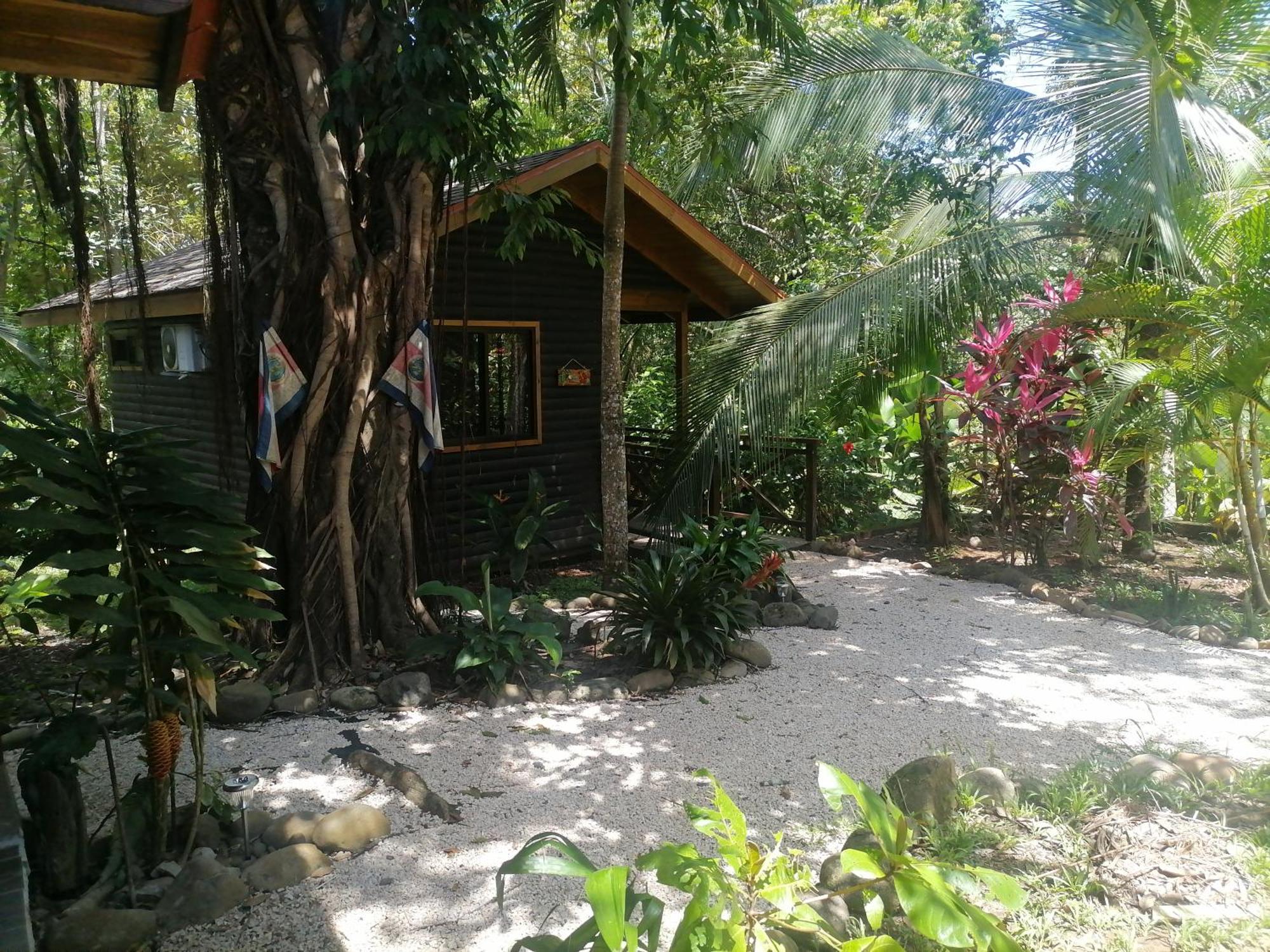Casa El Colibri Panzió Parrita Szoba fotó
