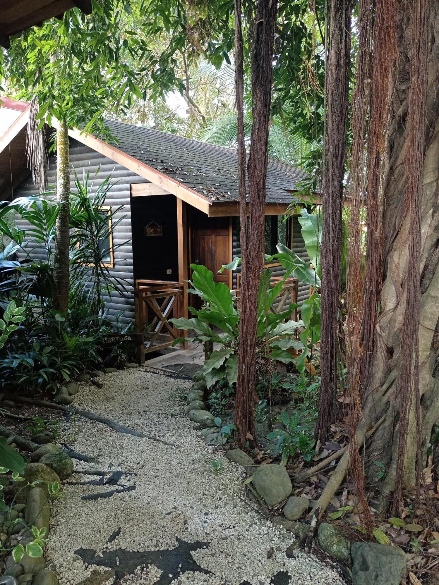 Casa El Colibri Panzió Parrita Kültér fotó