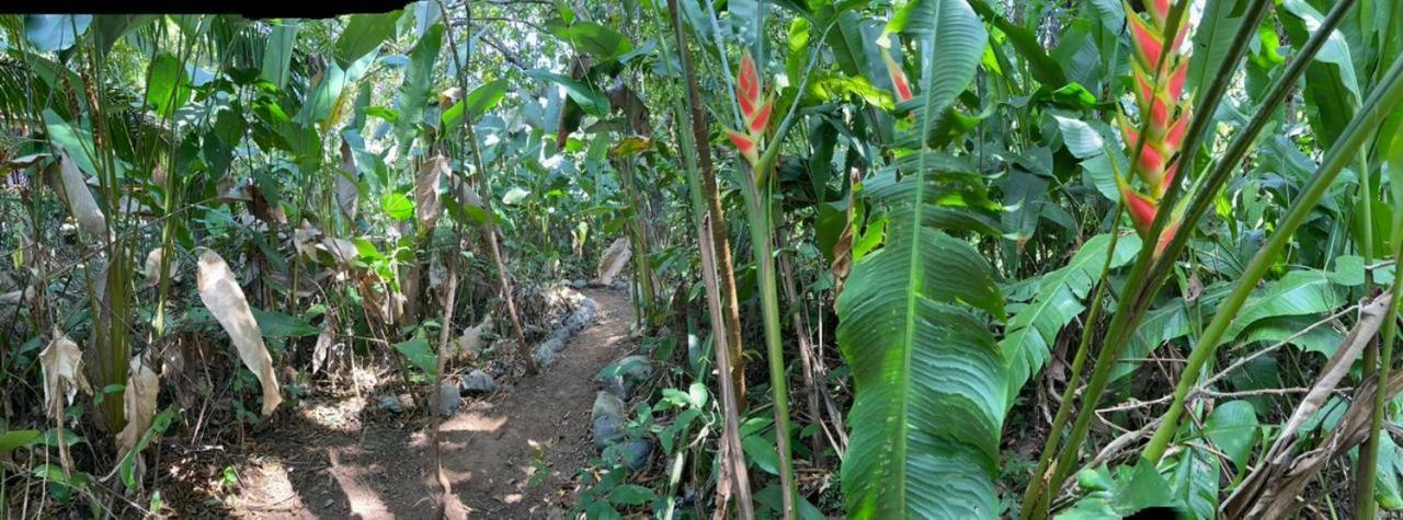 Casa El Colibri Panzió Parrita Kültér fotó